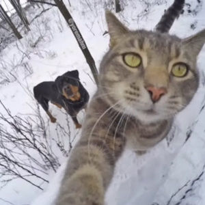 Meet your Posher, Juan